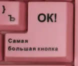 1614202623750.webp