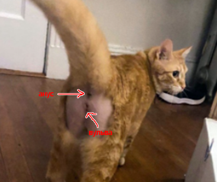 1614767463430.png