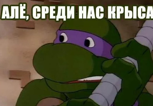 1615405502707.webp