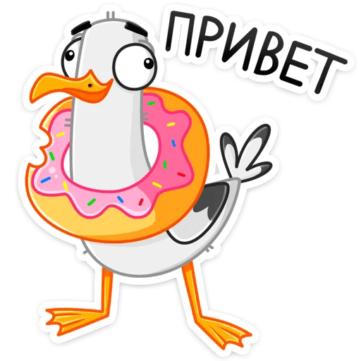 1615545943086.webp