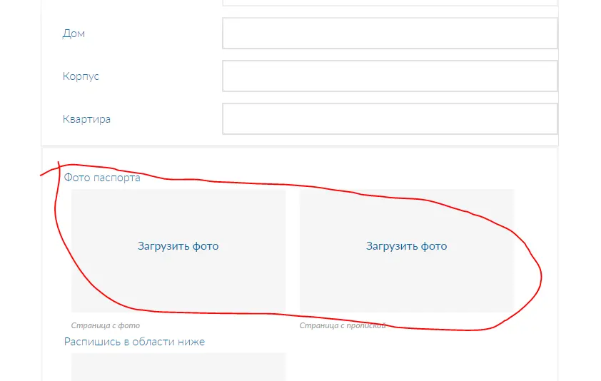 1616153295116.webp
