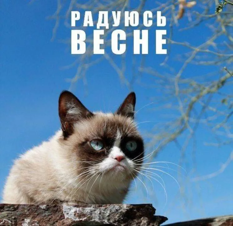 1616843552408.webp