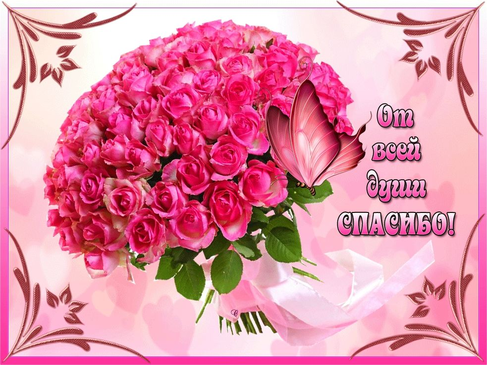 1616952333631.webp