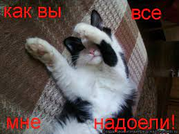 1617284643031.webp