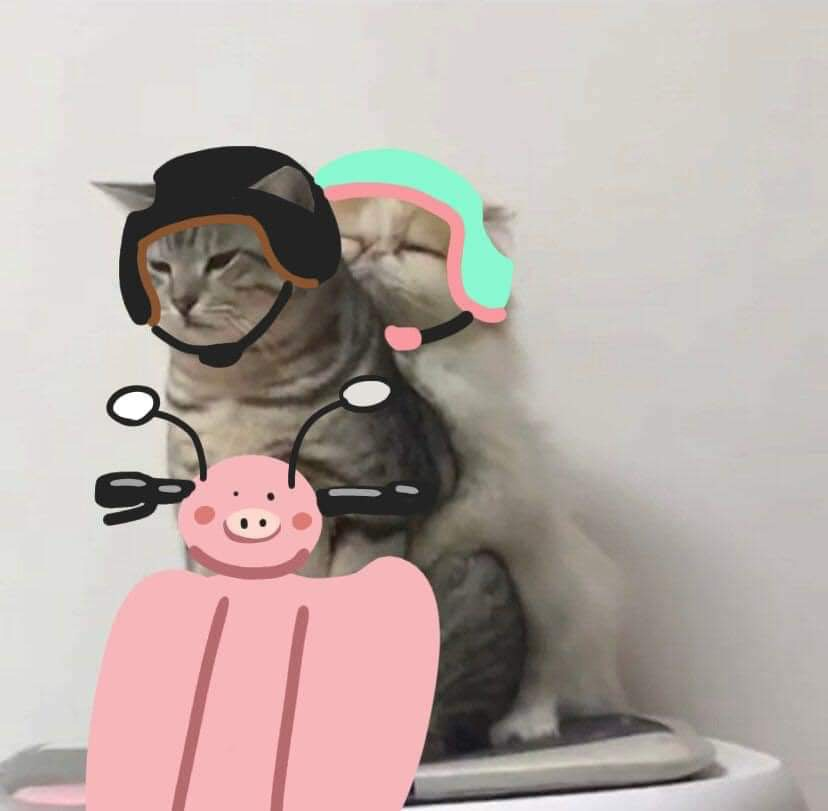 1617395064362.webp