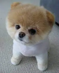 1617444477357.webp