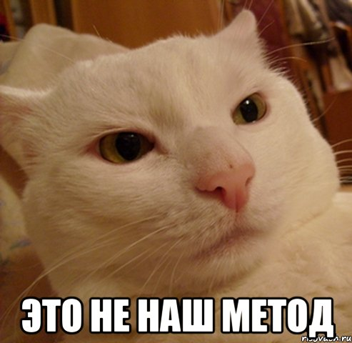 1617655530537.webp