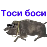 1618427652650.webp