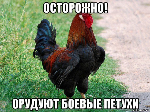 1619055235424.webp