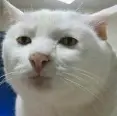 1619880093652.webp