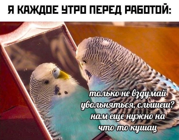 1619944083333.webp