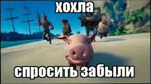1620031596210.webp