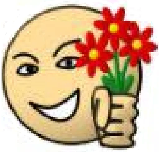 1620505452620.webp