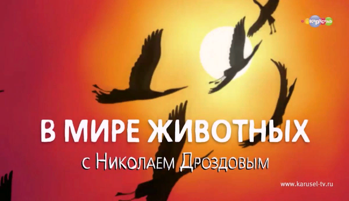 1620942556939.webp