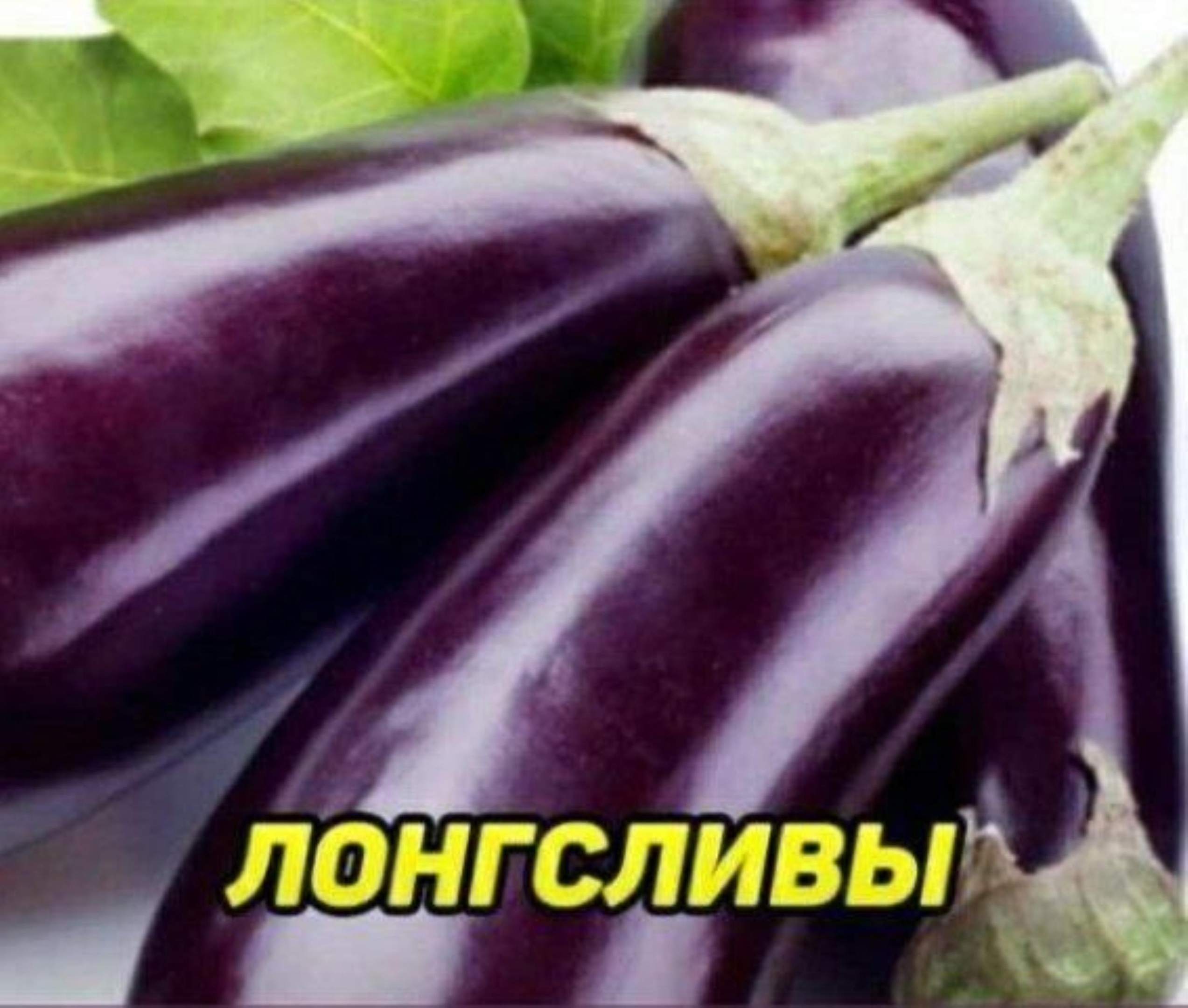 1621620958028.webp