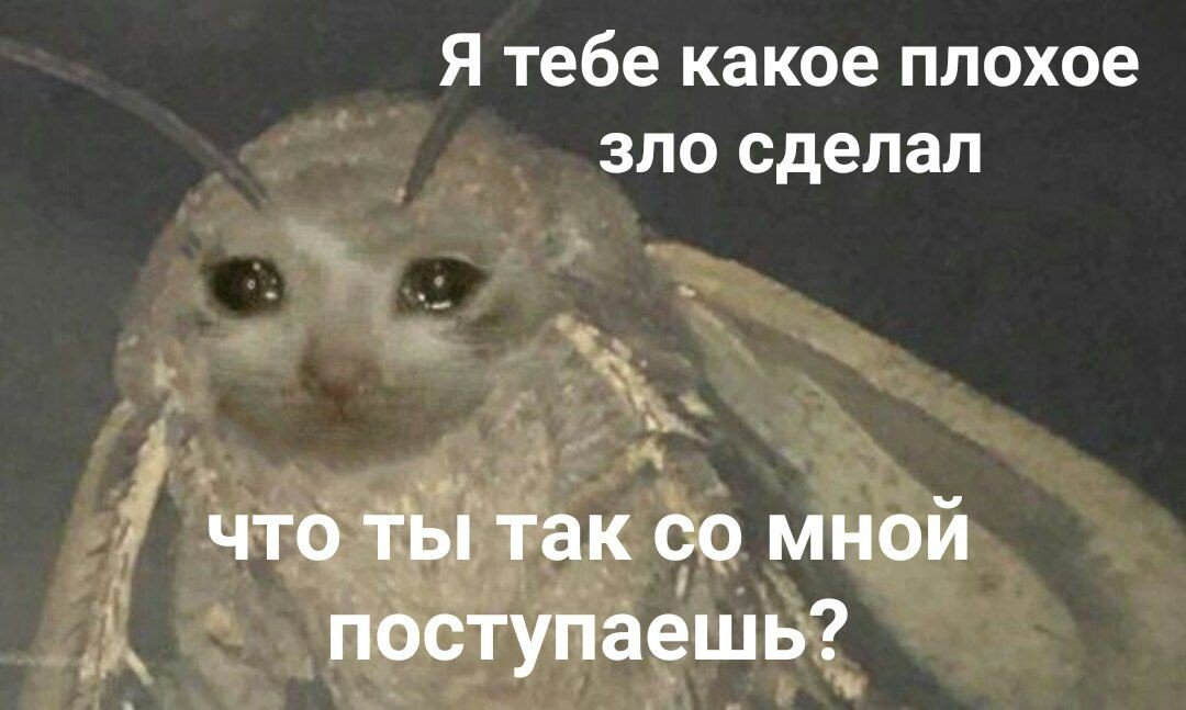 1621705656828.png