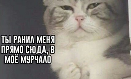 1622220570902.webp