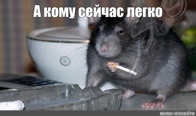 1623407281113.webp