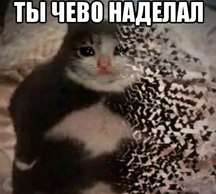 1623683236593.webp