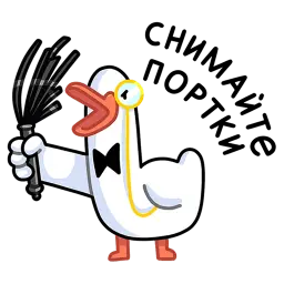 1623766929691.webp