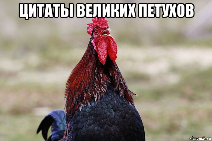 1623786320478.webp