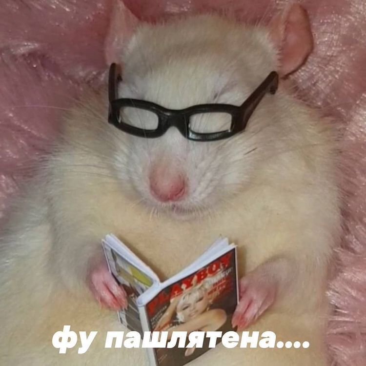 1624210193601.webp
