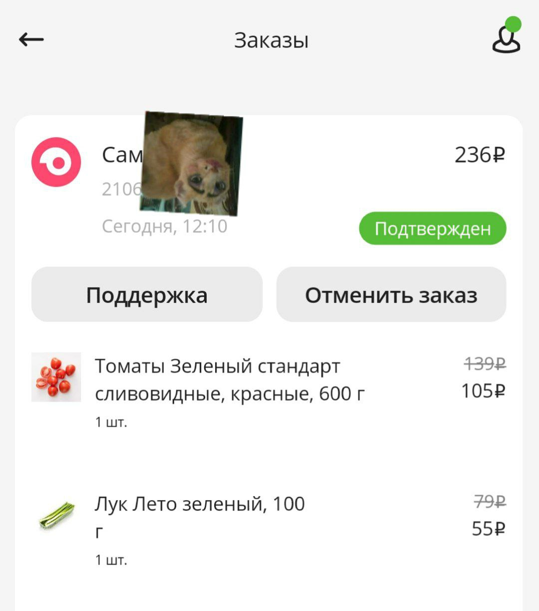 1624612465822.webp