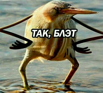 1624952193287.webp