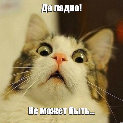 1625165302065.webp