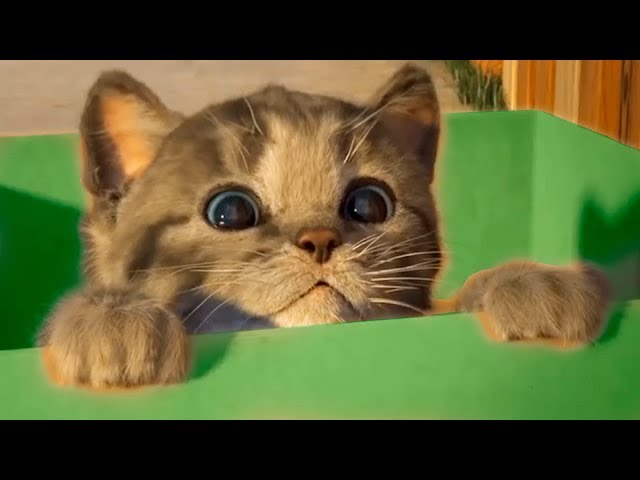 1625344876292.webp