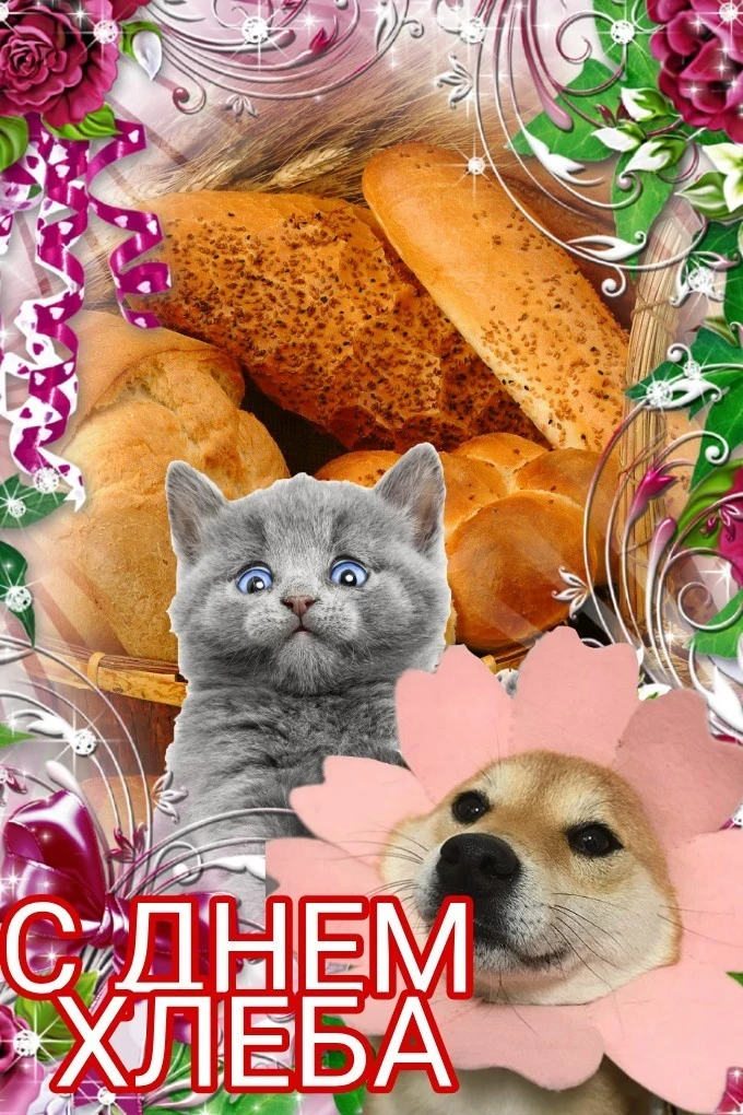 1625388473157218673.webp
