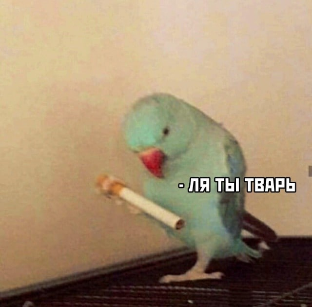 1625735859978.webp