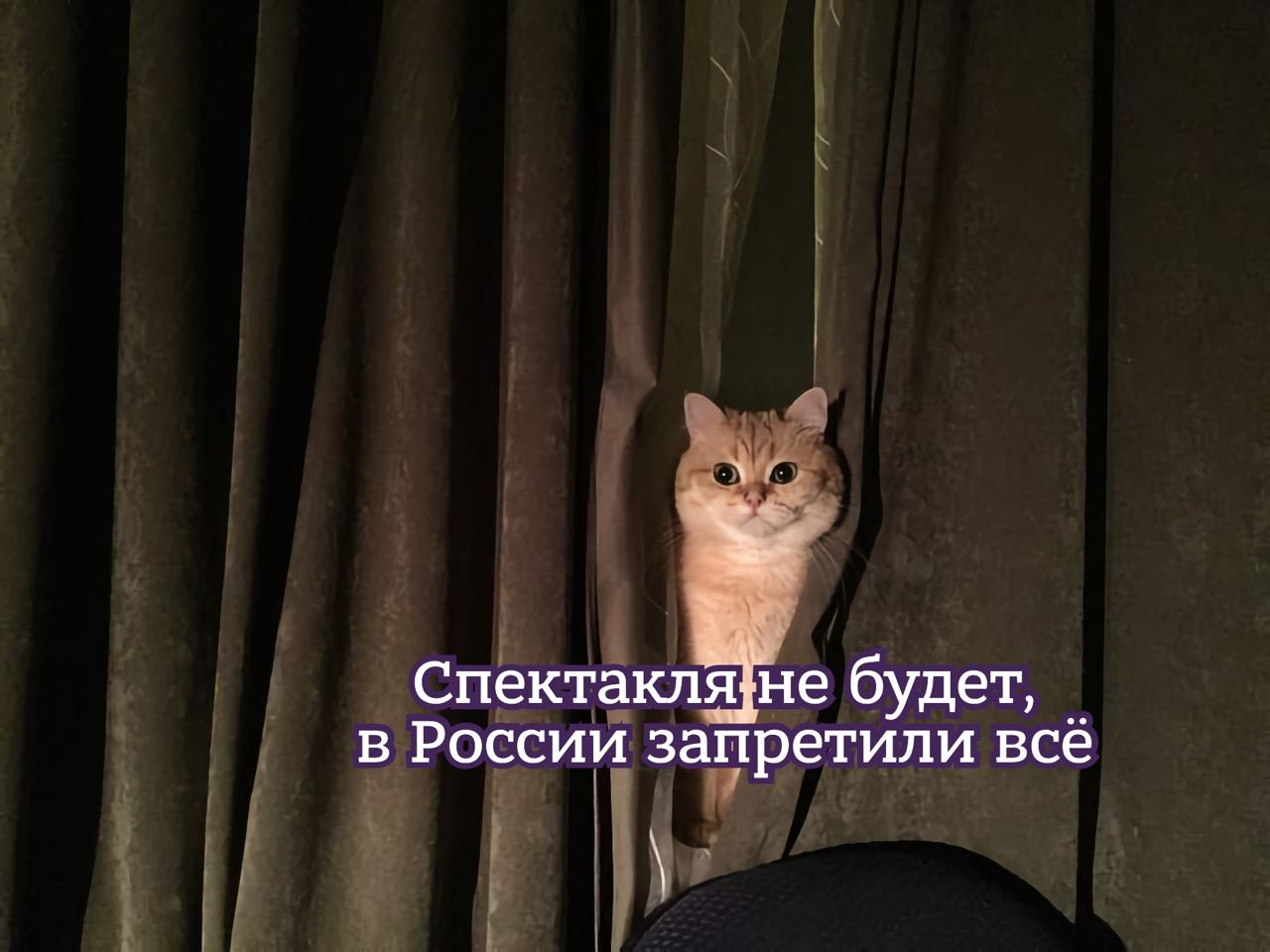 1625846177724.webp