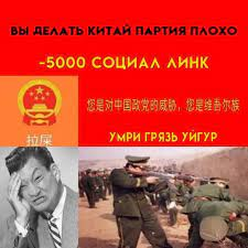 1627129607944.webp