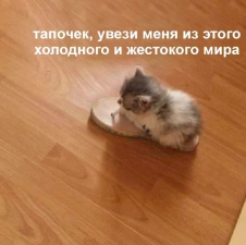 1627170246830.webp