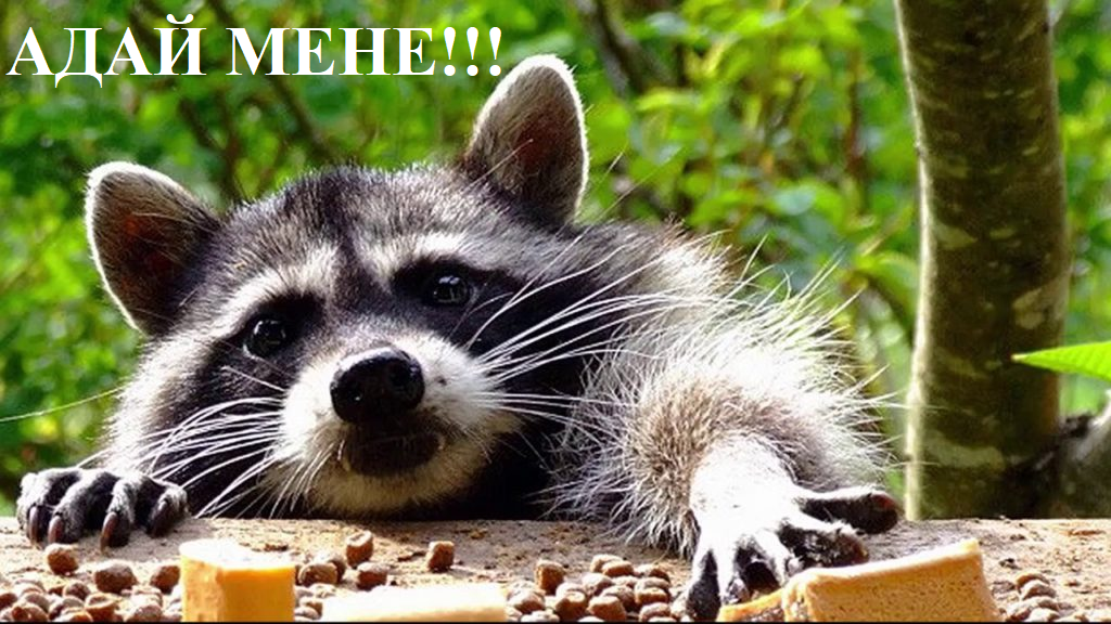 1628276413048.webp