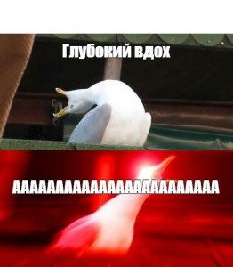 1628409616571.webp