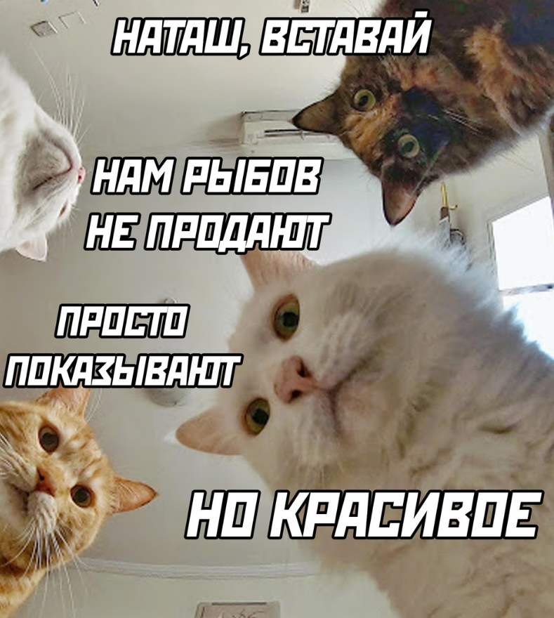 1628511737282.webp