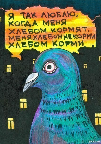 1628765972923.webp