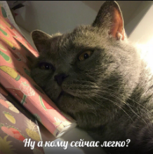 1628792186758.webp