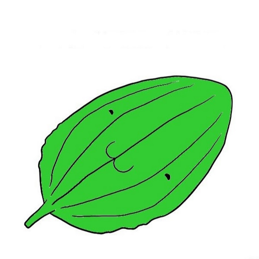 1629034334310.webp