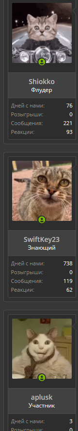 1629286992586.webp