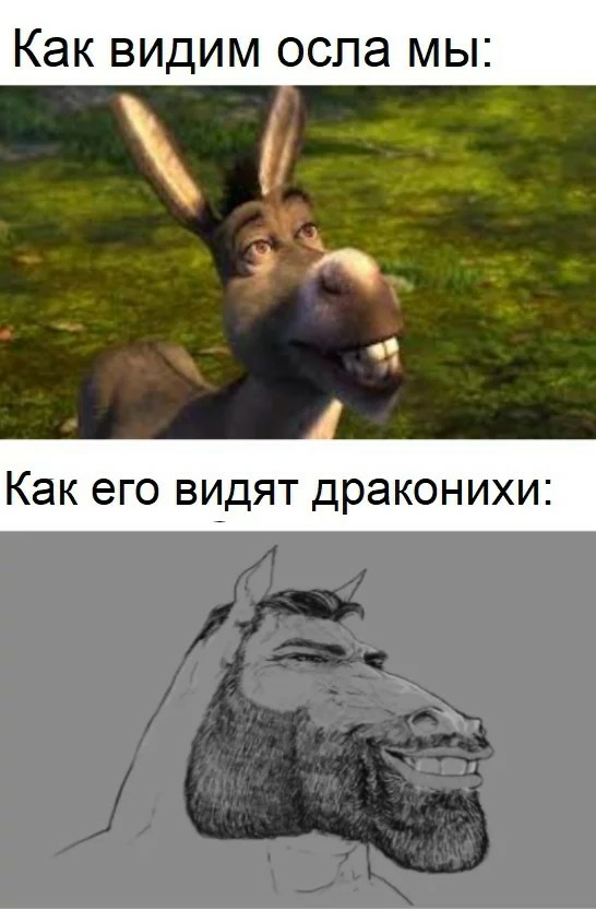 1629572232188.webp