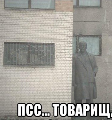 1630163317548.webp