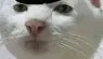 1630259921723.webp
