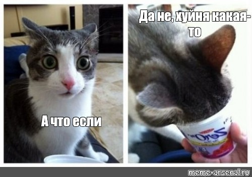 1630529917317.webp