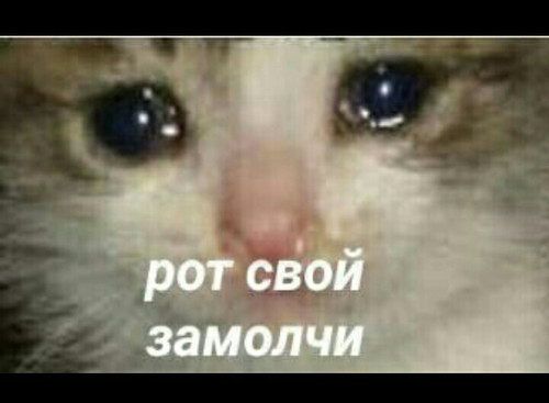 1631128142349.webp