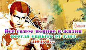 1631365232620.webp