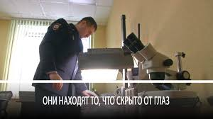 1631365276802.webp