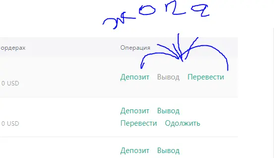 1631627751453.webp